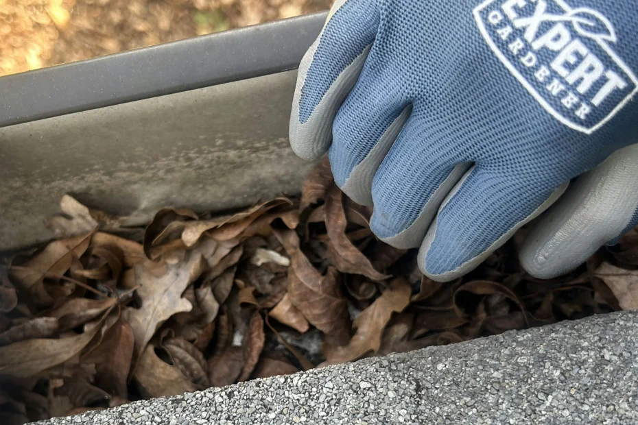 Gutter Cleaning Big Island