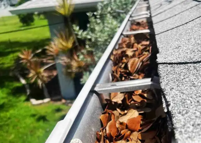 Gutter Cleaning Big Island home page